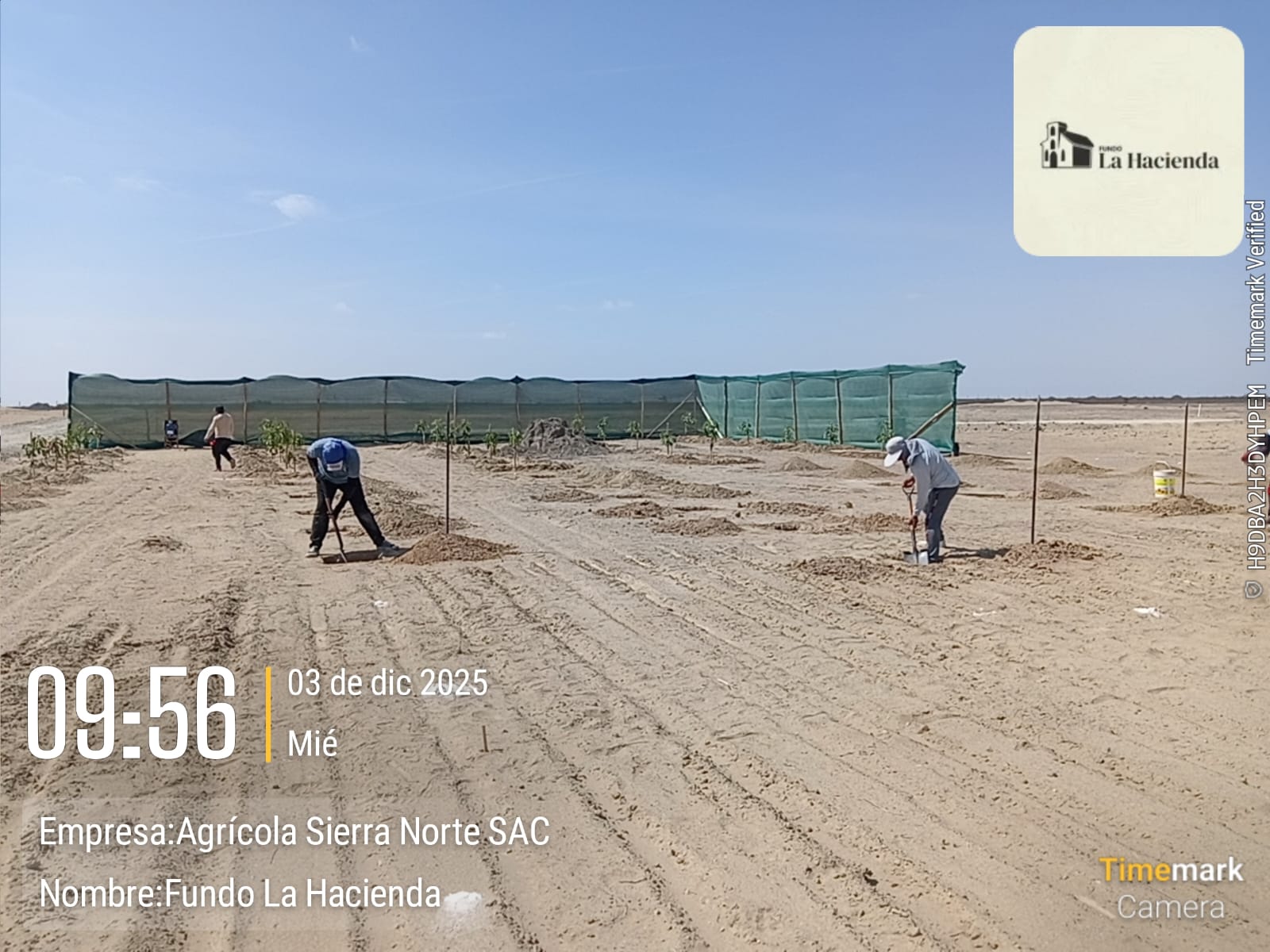 Mediciones para la Instalación de Plantones
