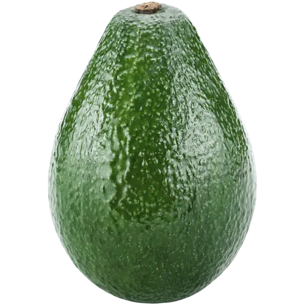 Palta